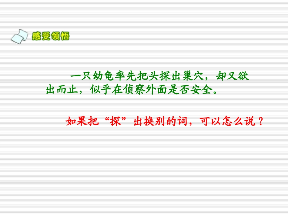 《大自然的秘密》PPT课件[北师大版六年级语文下册]_第3页