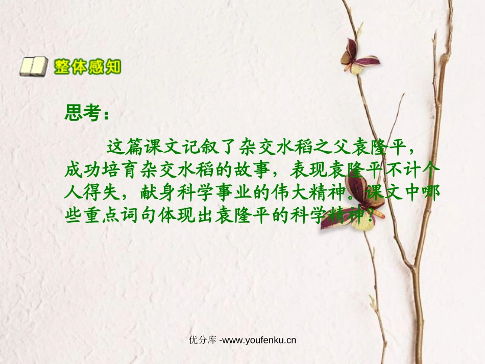 《当代神农氏》PPT课件[北师大版六年级语文下册]_第3页