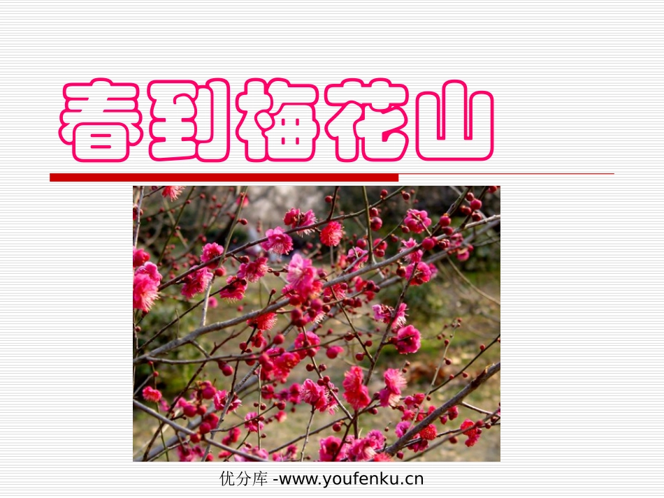 《春到梅花山》PPT课件[苏教版一年级语文下册]_第1页