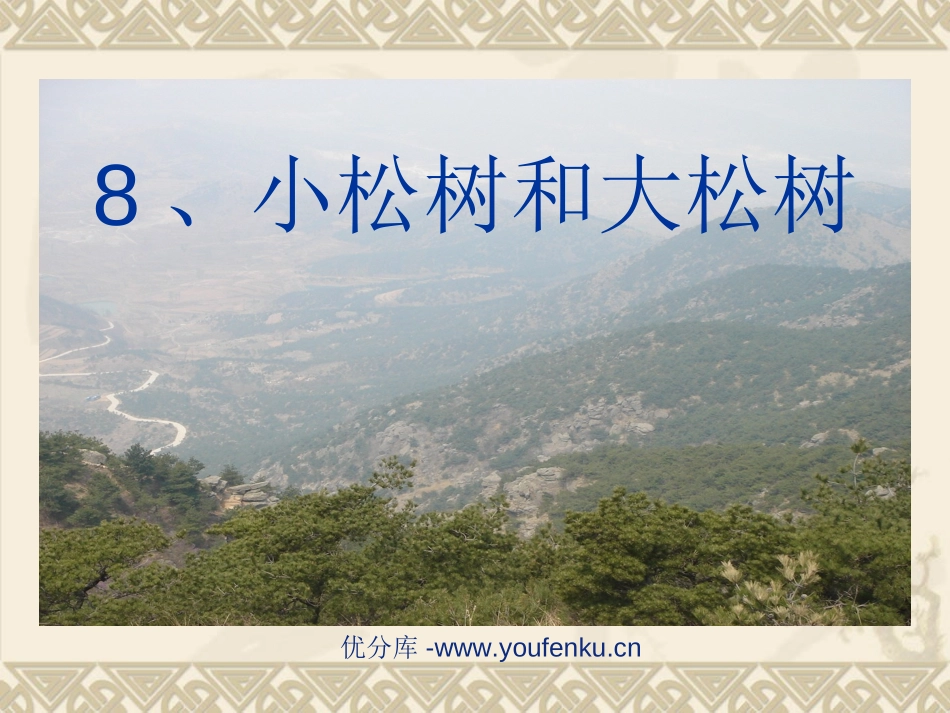 《小松树和大松树》PPT课件[苏教版一年级语文下册]_第1页