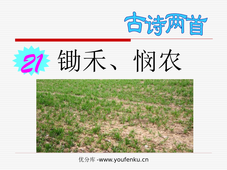 古诗两首《锄禾》《悯农》PPT课件[苏教版一年级语文下册]_第1页