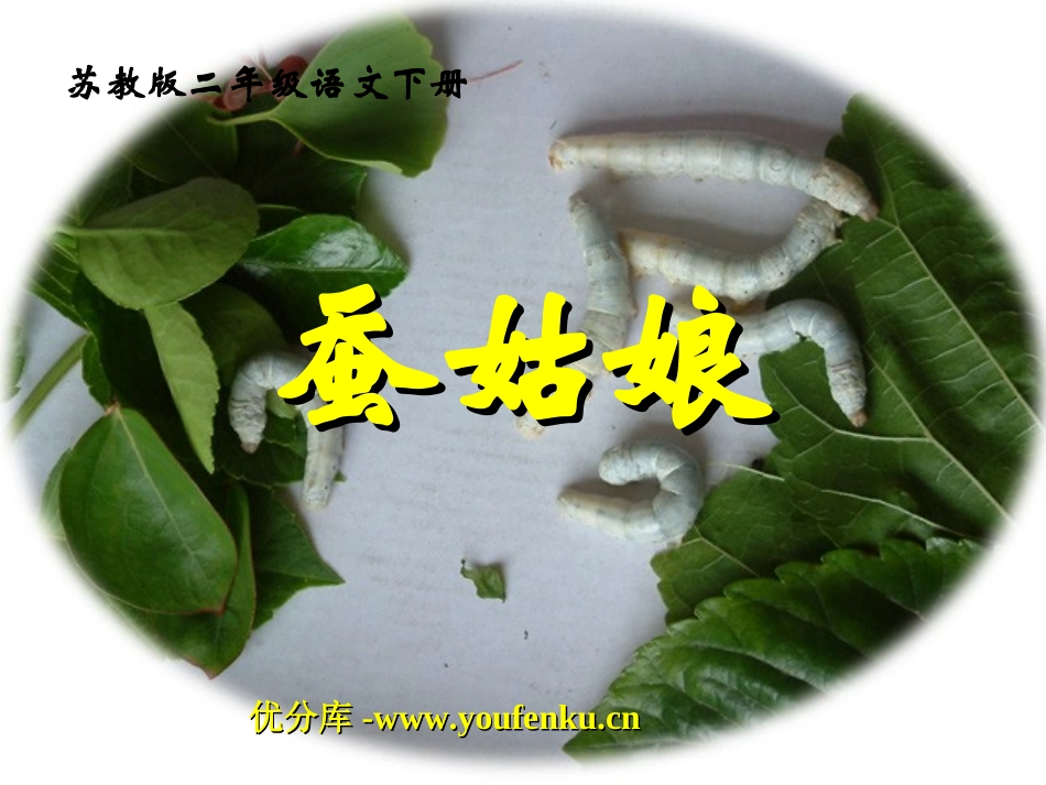 《蚕姑娘》PPT课件[苏教版二年级语文下册]_第1页