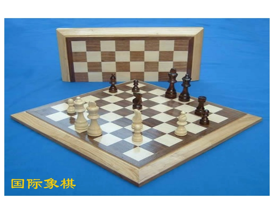 《学棋》PPT课件[苏教版二年级语文下册]_第2页