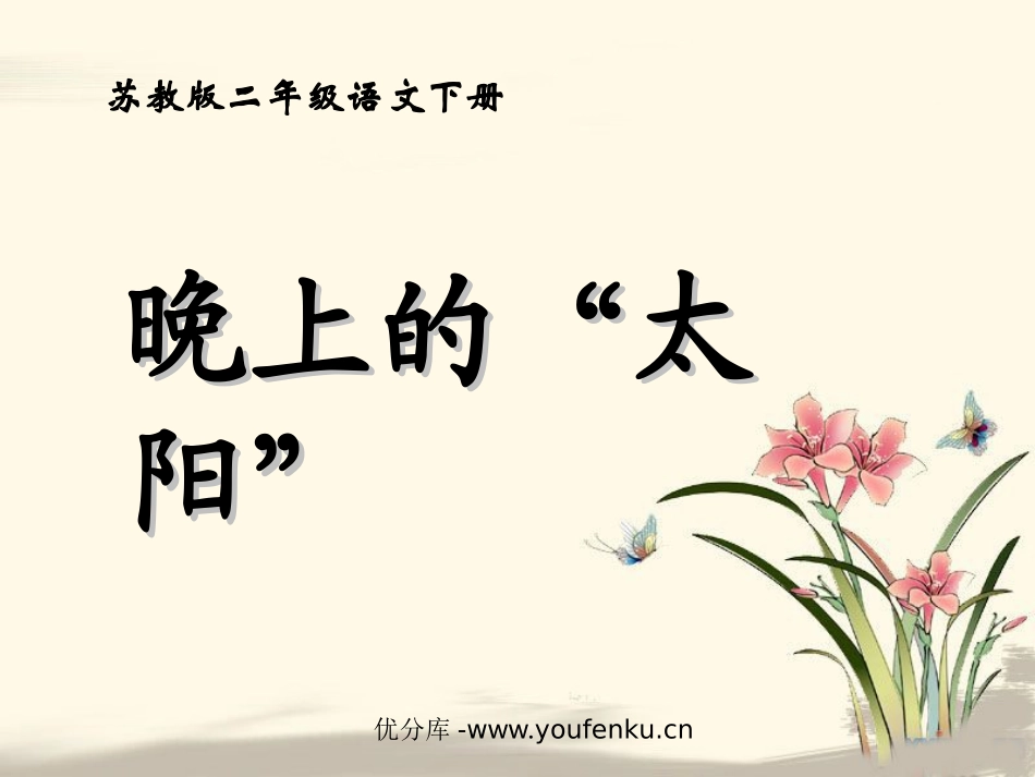 《晚上的“太阳”》PPT课件[苏教版二年级语文下册]_第1页