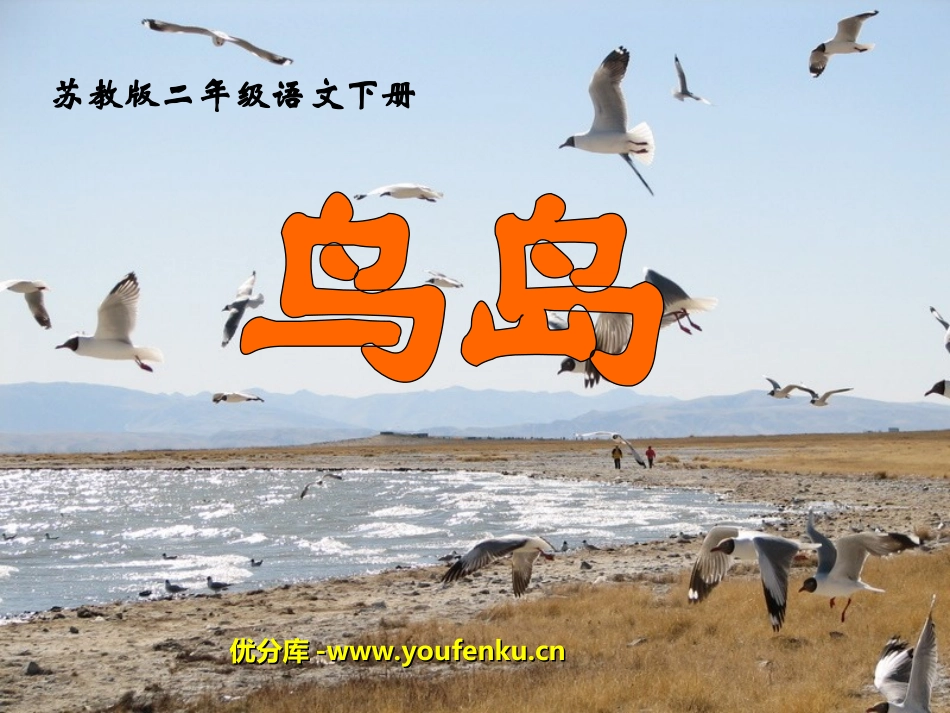 《鸟岛》PPT课件[苏教版二年级语文下册]_第1页