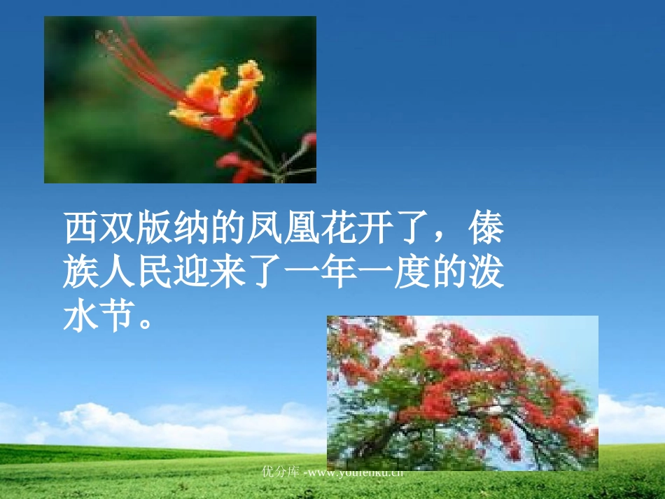 《欢乐的泼水节》PPT课件[苏教版二年级语文下册]_第3页