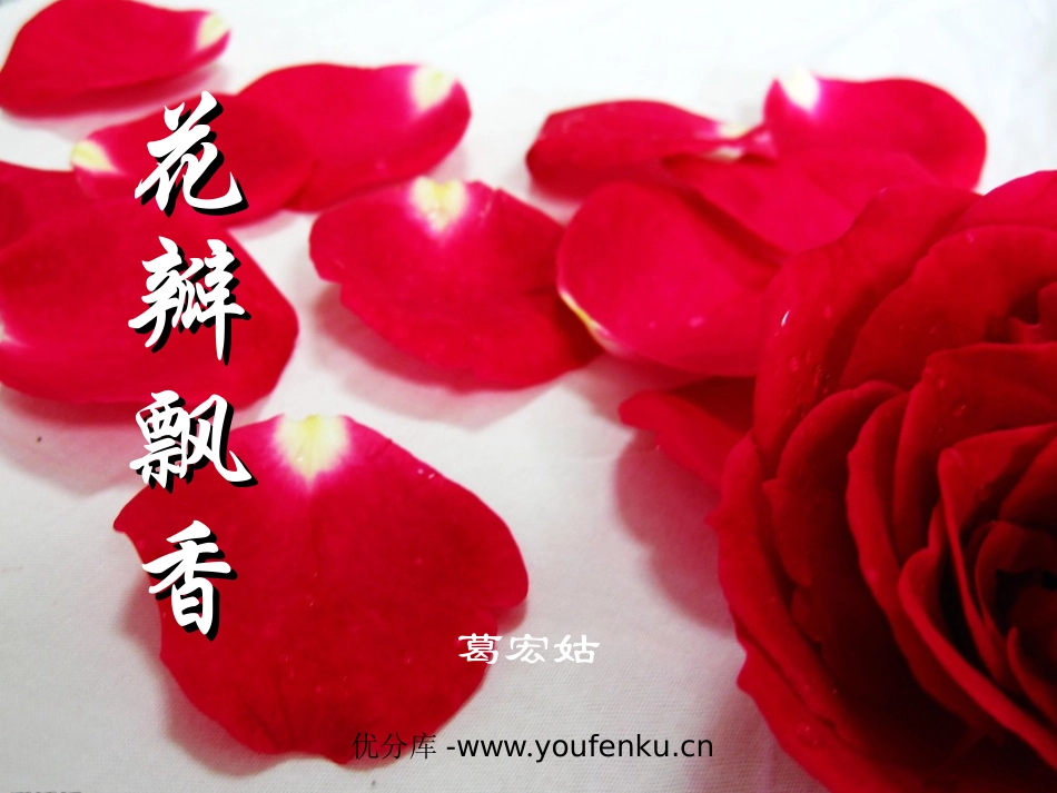 《花瓣飘香》PPT课件[苏教版三年级语文下册]_第1页