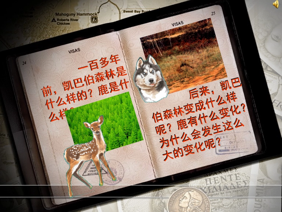 《狼和鹿》PPT课件[苏教版三年级语文下册]_第3页