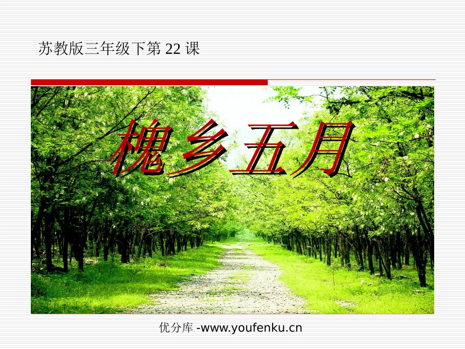 《槐乡五月》PPT课件[苏教版三年级语文下册]_第1页