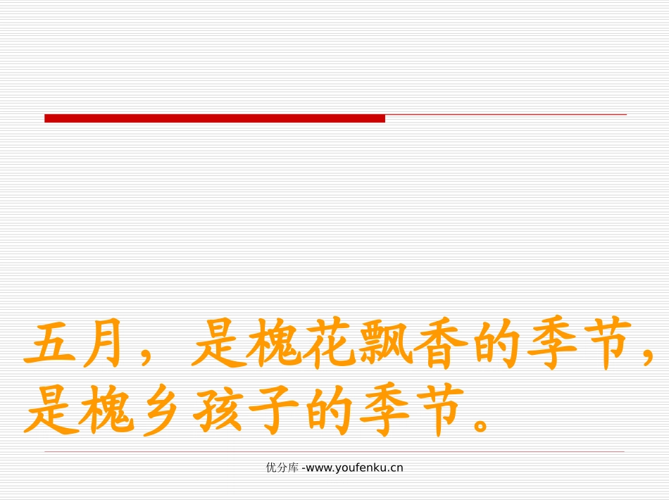 《槐乡五月》PPT课件[苏教版三年级语文下册]_第3页