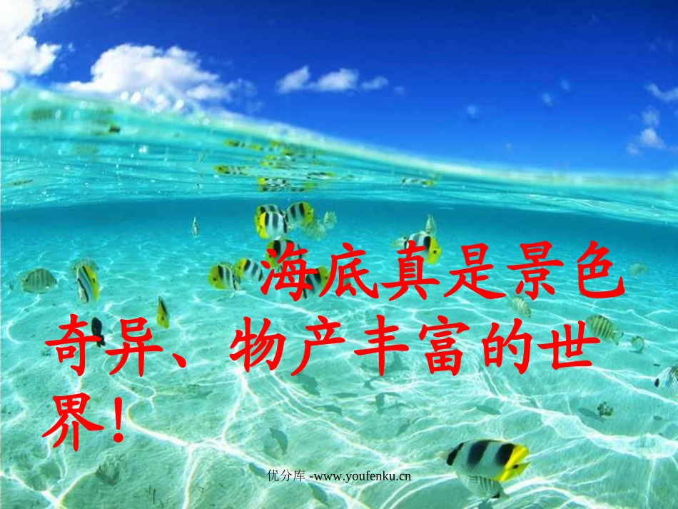 《海底世界》PPT课件[苏教版三年级语文下册]_第3页