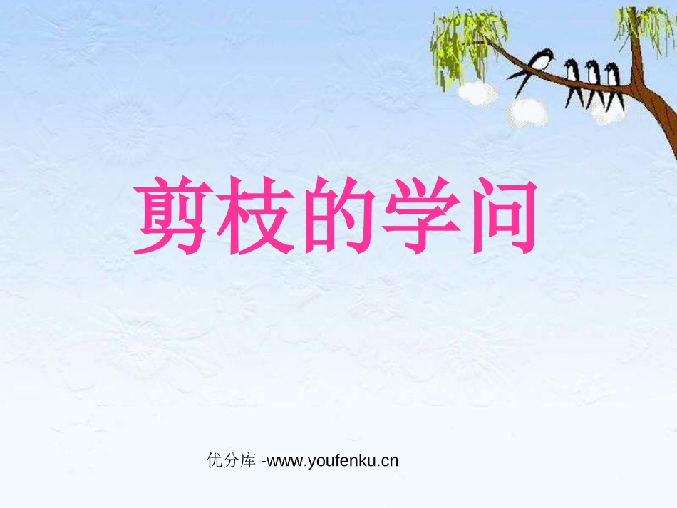 《剪枝的学问》PPT课件[苏教版三年级语文下册]_第1页