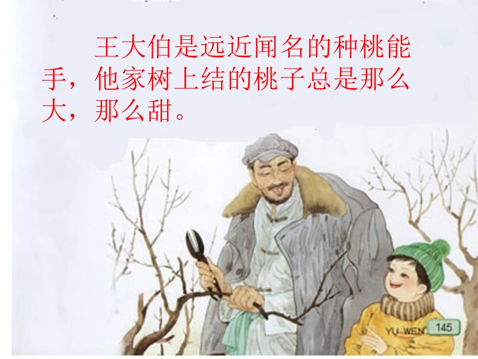 《剪枝的学问》PPT课件[苏教版三年级语文下册]_第2页