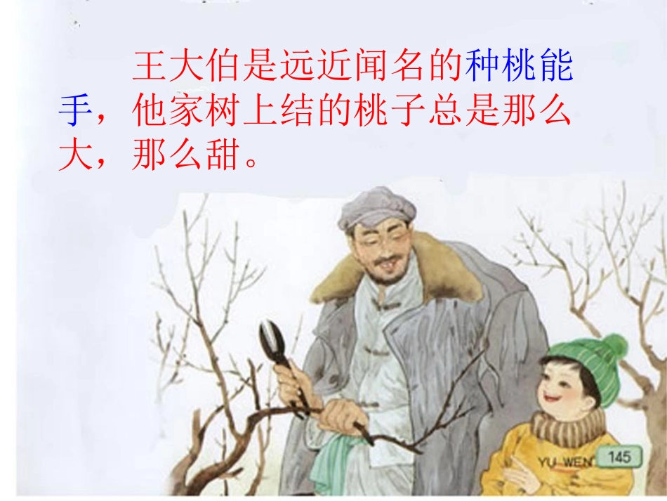 《剪枝的学问》PPT课件[苏教版三年级语文下册]_第3页