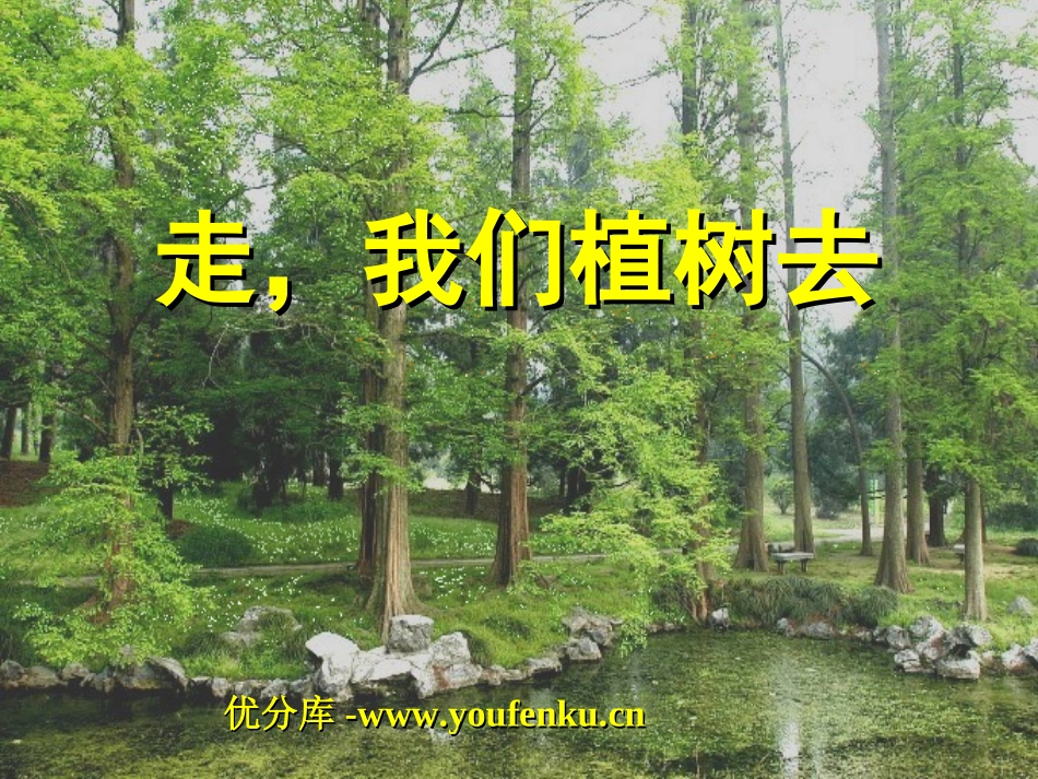 《走,我们去植树》PPT课件[苏教版四年级语文下册]_第1页