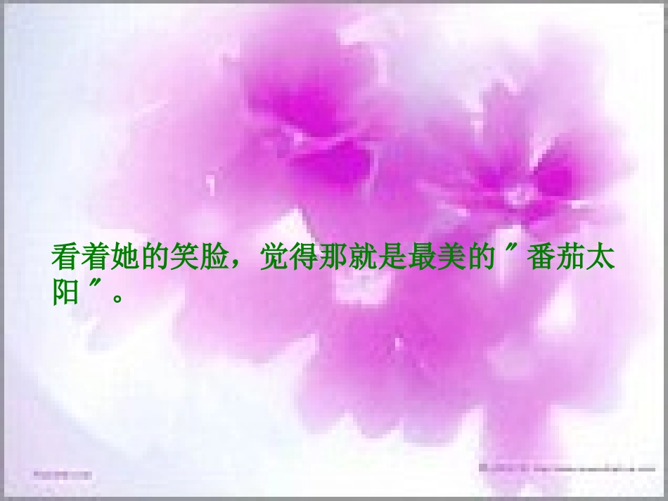《番茄太阳》PPT课件[苏教版四年级语文下册]_第1页