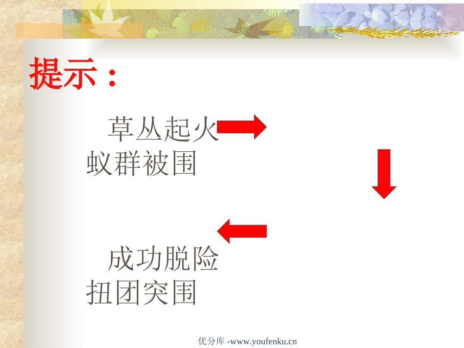 《生命的壮歌》PPT课件[苏教版四年级语文下册]_第2页