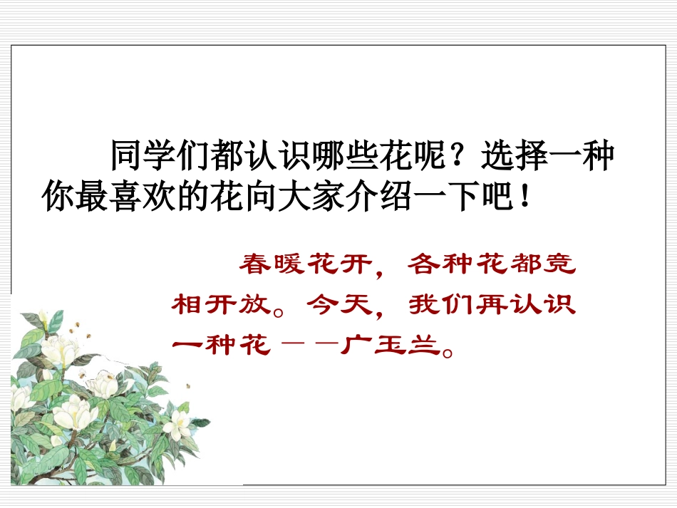 《广玉兰》PPT课件[苏教版六年级语文下册]_第2页