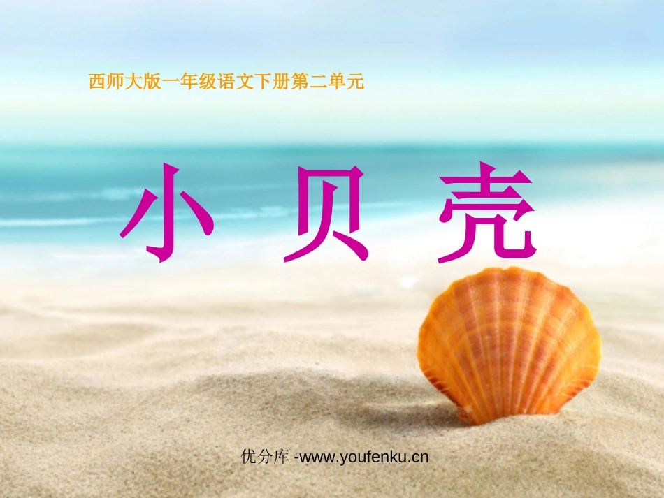 《小贝壳》PPT课件[西师大版一年级语文下册]_第1页