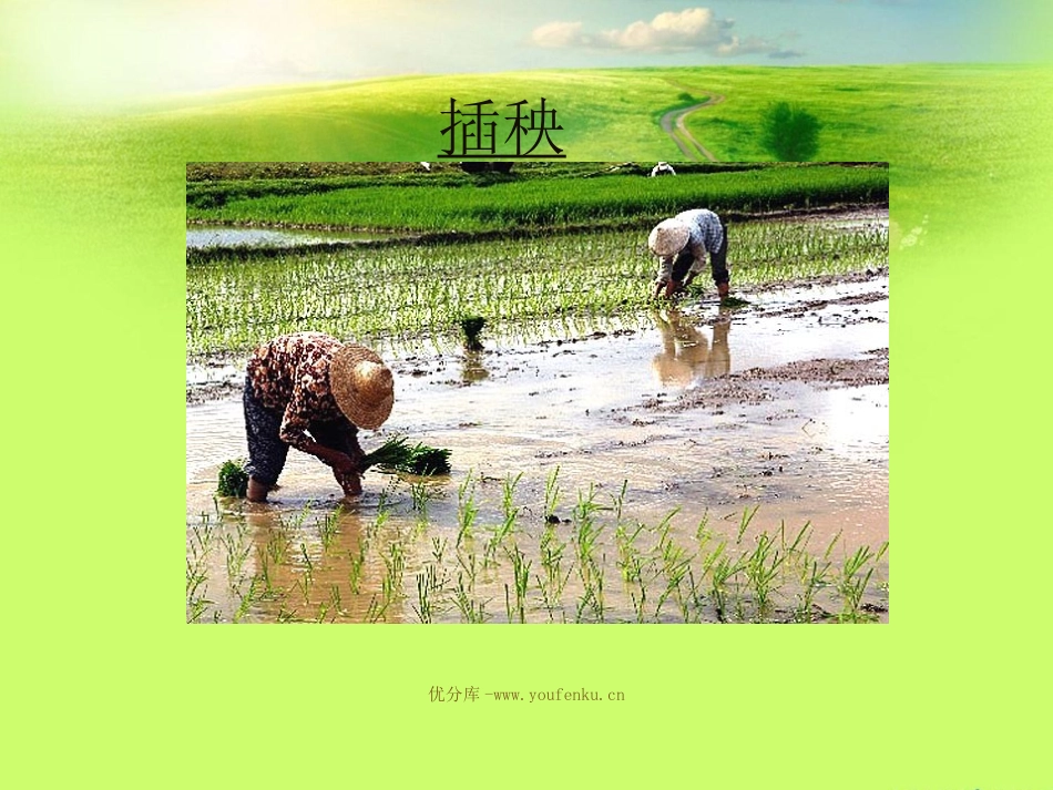 《农具》PPT课件[西师大版二年级语文下册]_第3页