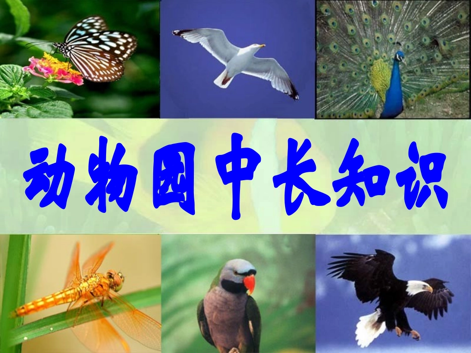 《虫鸟歌》PPT课件[西师大版二年级语文下册]_第2页