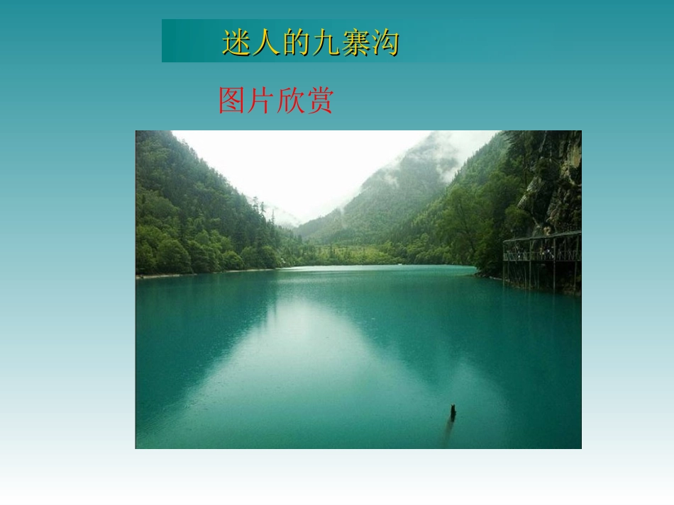 《迷人的九寨沟》PPT课件[西师大版四年级语文下册]_第3页
