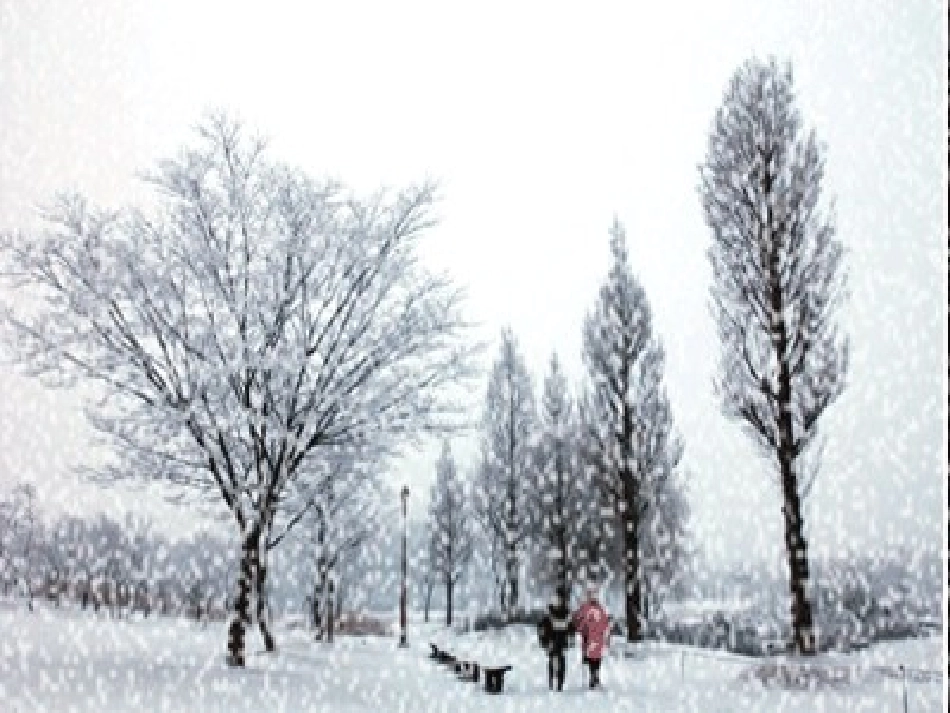 《松坊溪雪景》PPT课件[西师大版四年级语文下册]_第2页