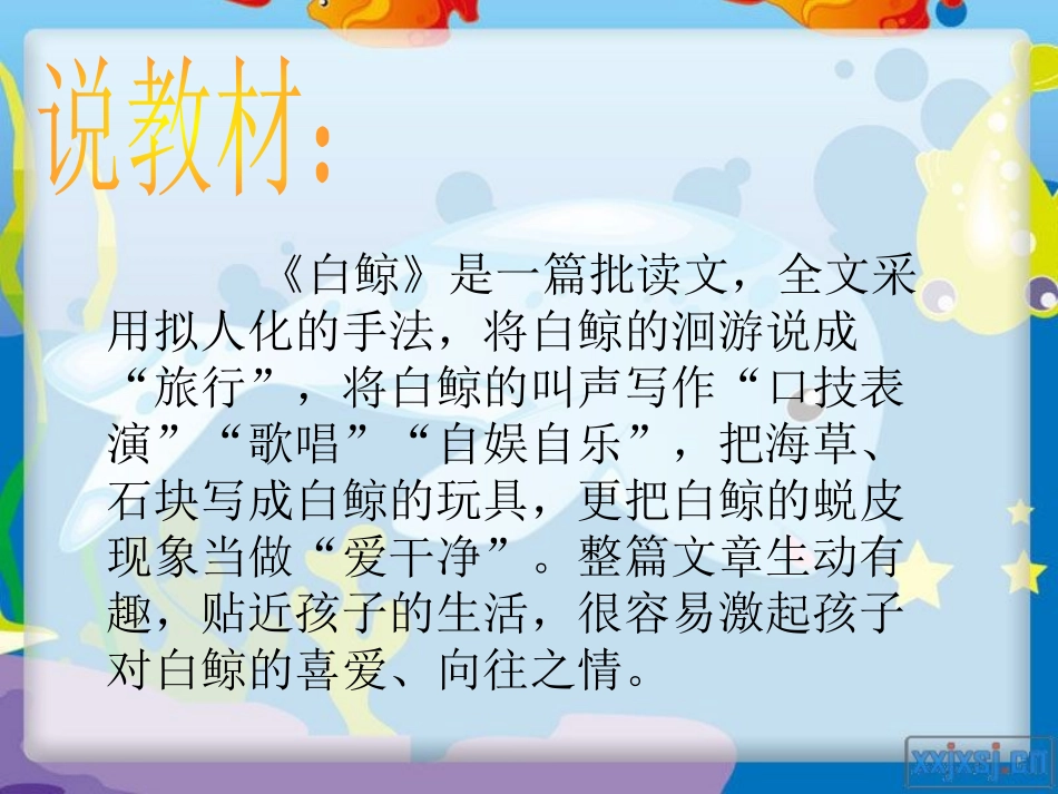 《白鲸》PPT课件[西师大版四年级语文下册]_第2页