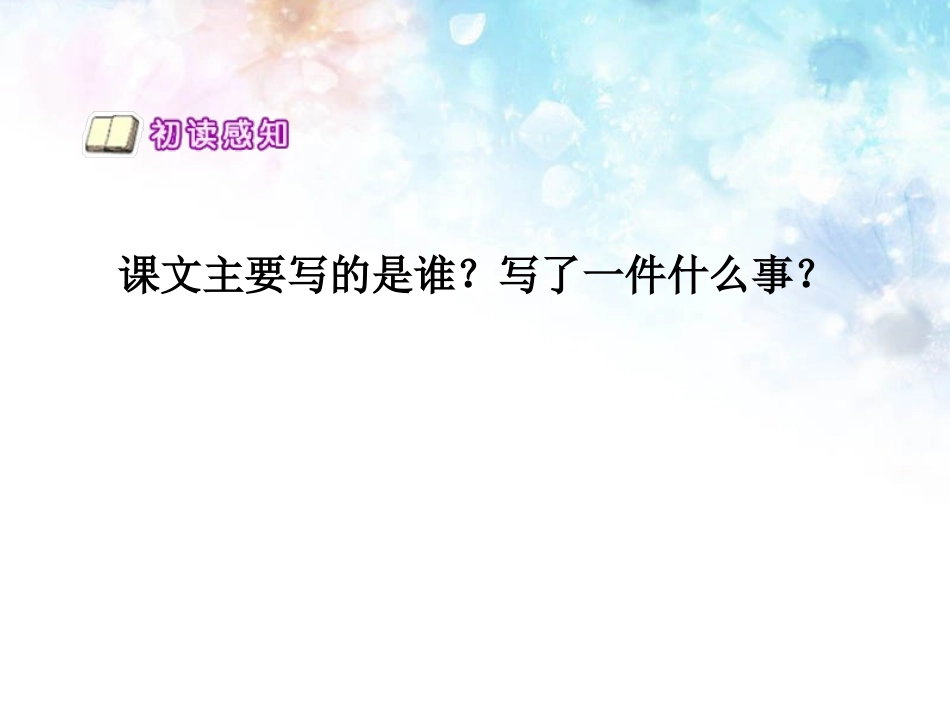 《瑞恩的梦想》PPT课件[西师大版四年级语文下册]_第3页
