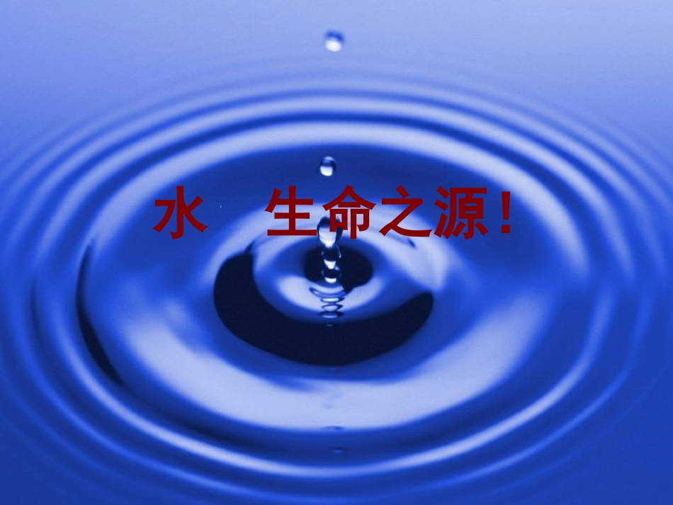 《瑞恩的梦想》PPT课件[西师大版四年级语文下册]_第2页