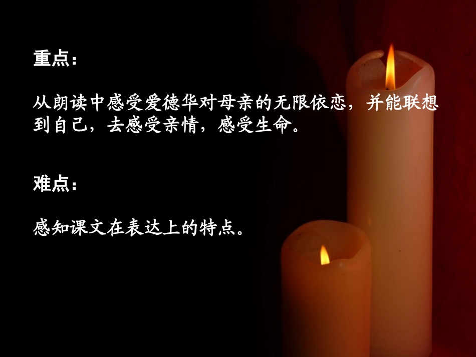 《遇难者的第三个电话》PPT课件[西师大版五年级语文下册]_第2页