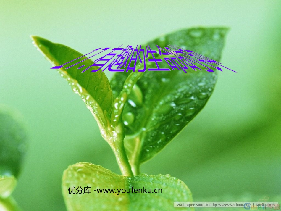 《有趣的生命时钟》PPT课件[西师大版五年级语文下册]_第1页