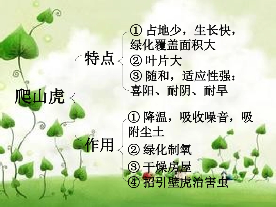 《送你一片绿荫》PPT课件[西师大版五年级语文下册]_第3页