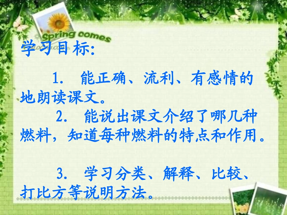 《燃料的家庭》PPT课件[西师大版五年级语文下册]_第2页