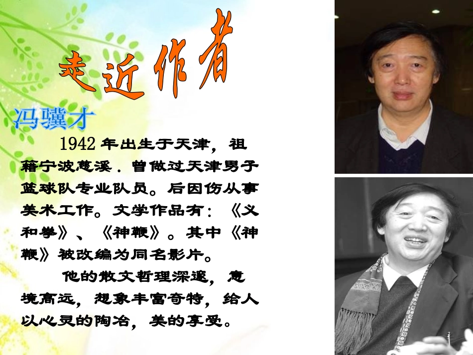 《珍珠鸟》PPT课件[西师大版五年级语文下册]_第3页