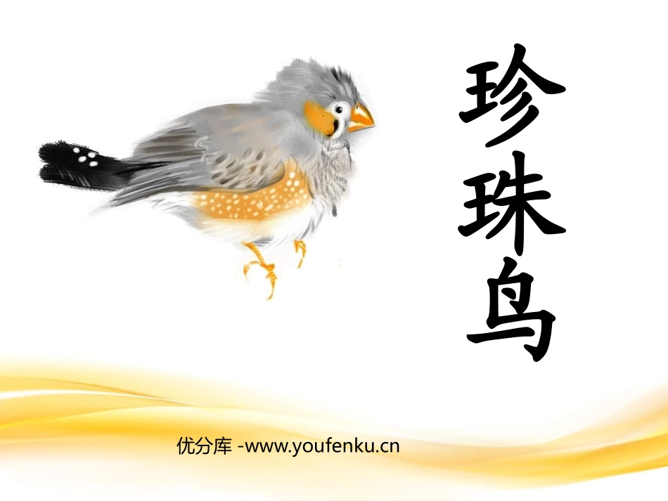《珍珠鸟》PPT课件[西师大版五年级语文下册]_第1页