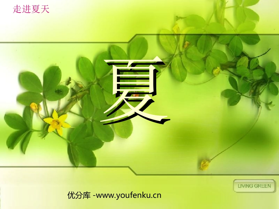 《夏》PPT课件[西师大版六年级语文下册]_第1页