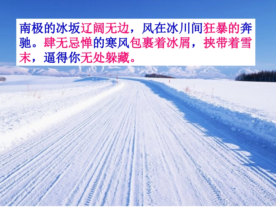 《企鹅爸爸》PPT课件[西师大版六年级语文下册]_第3页