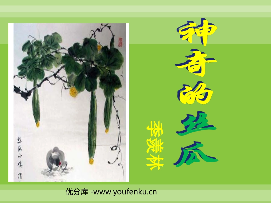 《神奇的丝瓜》PPT课件[西师大版六年级语文下册]_第1页