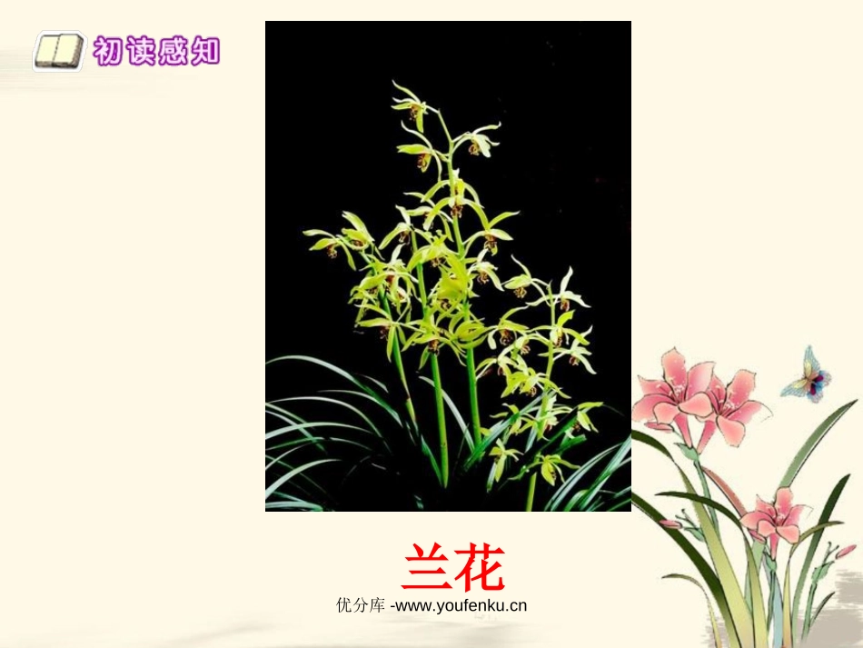《访兰》PPT课件[西师大版六年级语文下册]_第3页