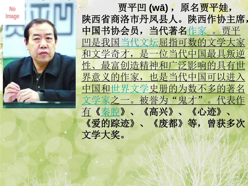 《访兰》PPT课件[西师大版六年级语文下册]_第3页