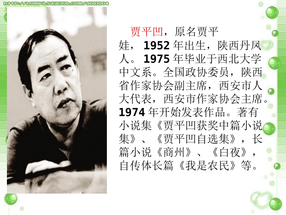 《访兰》PPT课件[西师大版六年级语文下册]_第2页