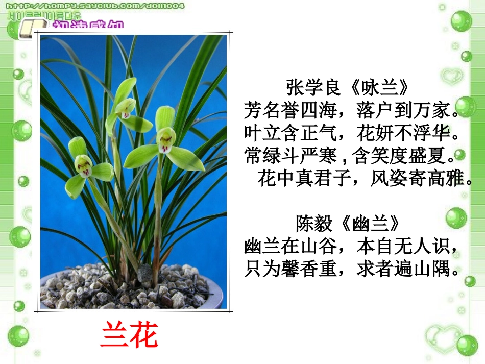 《访兰》PPT课件[西师大版六年级语文下册]_第3页