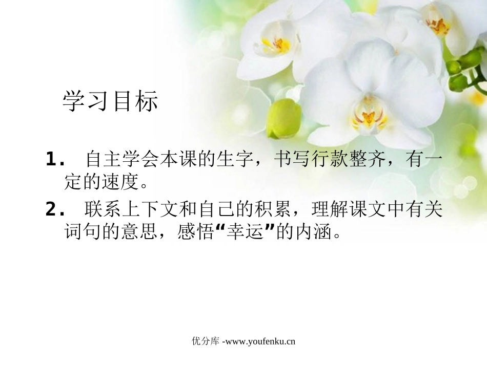 《寻找幸运花瓣》PPT课件[西师大版六年级语文下册]_第2页