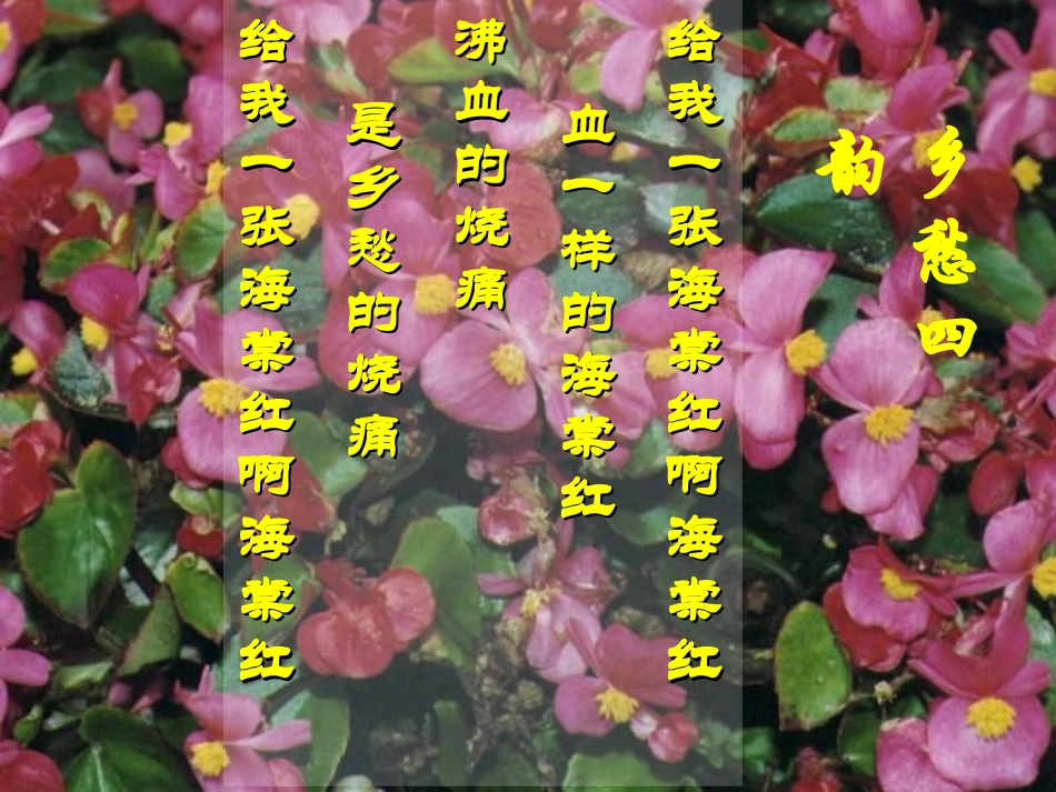 《当我死时》PPT课件[北师大版七年级语文下册]_第3页