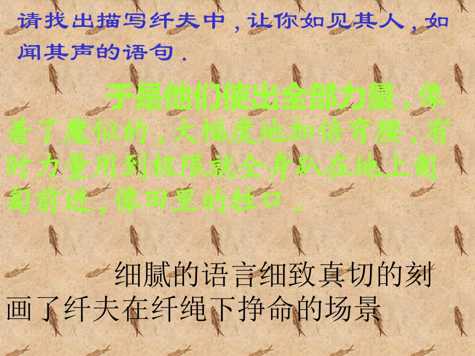 《江之歌》PPT课件[北师大版七年级语文下册]_第3页