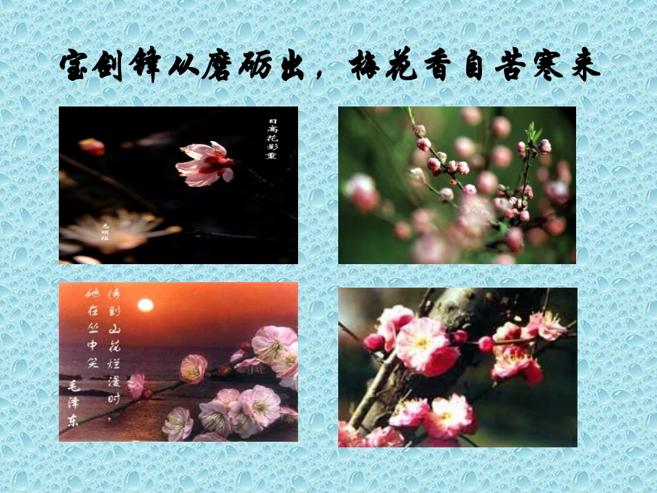 《卜算子·咏梅》PPT课件[北师大版七年级语文下册]_第2页