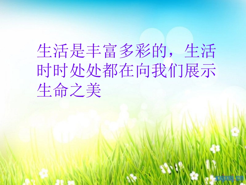 《海燕》PPT课件[北师大版七年级语文下册]_第2页