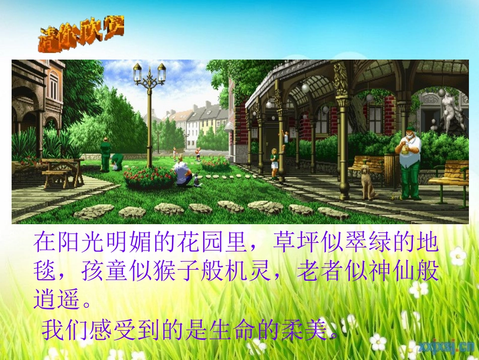《海燕》PPT课件[北师大版七年级语文下册]_第3页