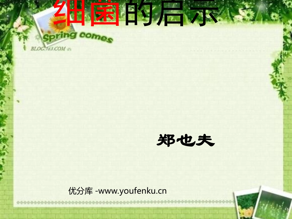 《细菌的启示》PPT课件[北师大版八年级语文下册]_第1页